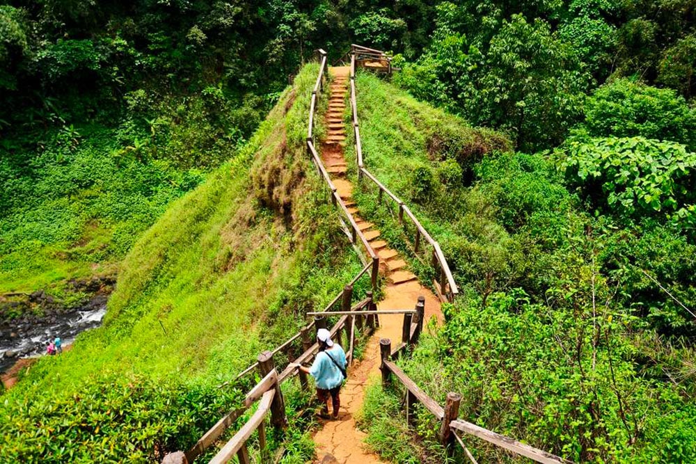 Selectour Carol' Voyages Nous vous ferons aimer le monde laos plateau des bolovens 2 1