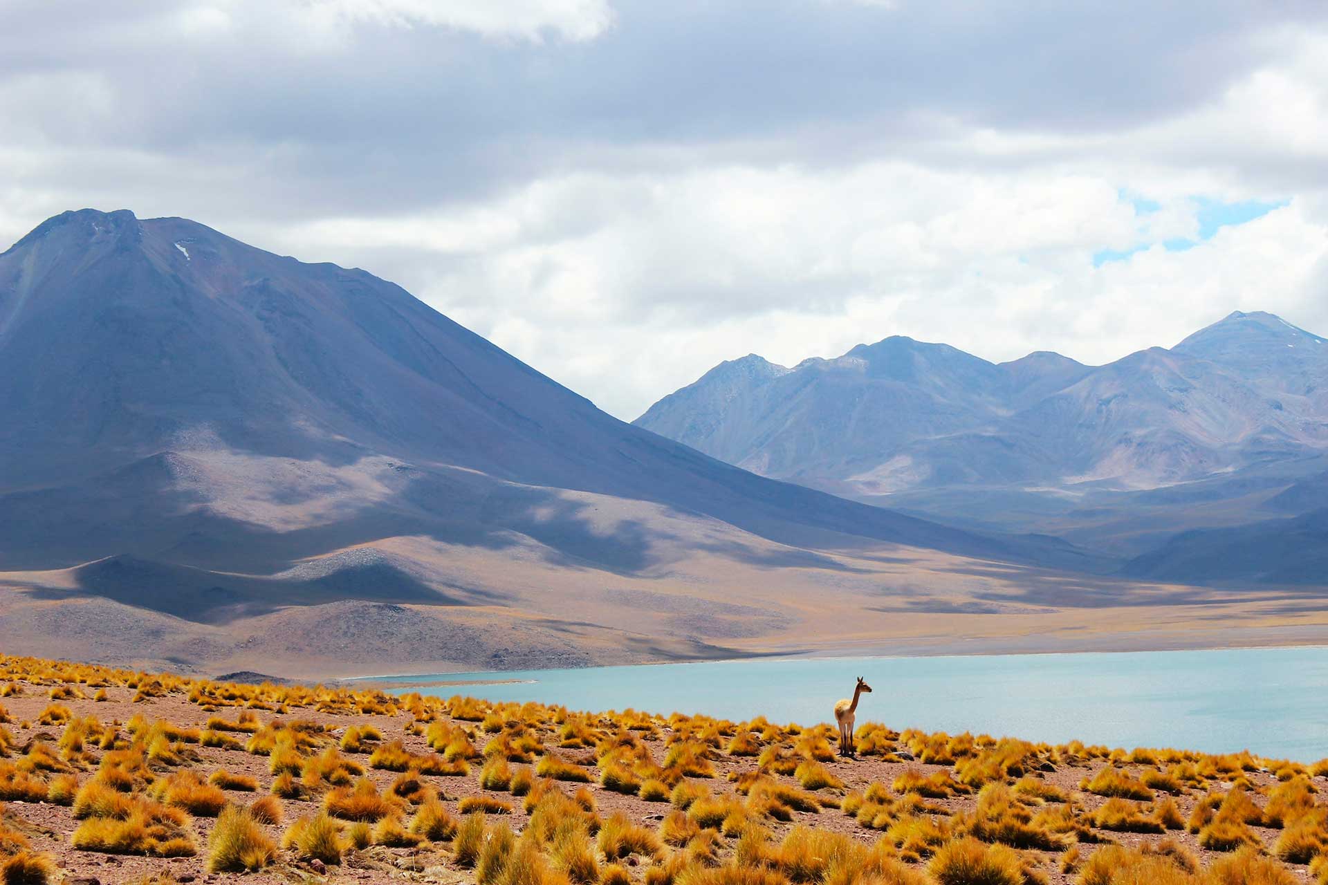 Carol Voyages - Agences de voyage - Amérique latine - Voyage en Argentine
