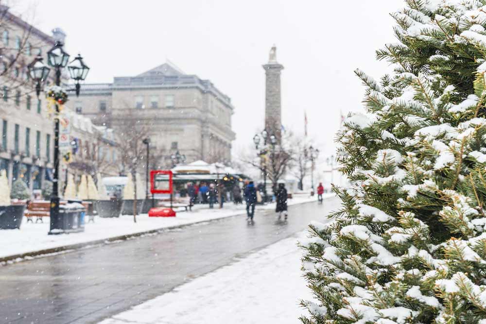 Selectour Carol' Voyages Nous vous ferons aimer le monde canada magie blanche au canada montreal