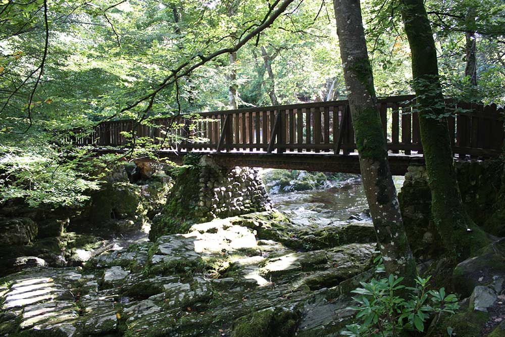 Selectour Carol' Voyages Nous vous ferons aimer le monde irlande tollymore forest park