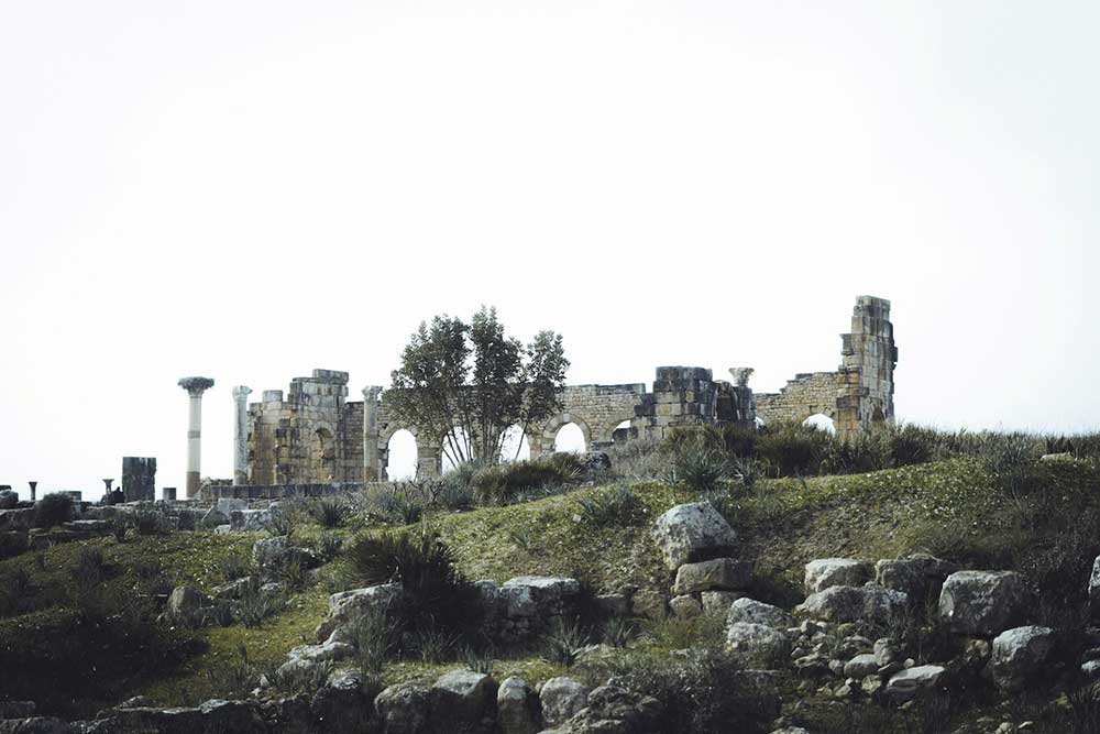 Selectour Carol' Voyages Nous vous ferons aimer le monde maroc volubilis