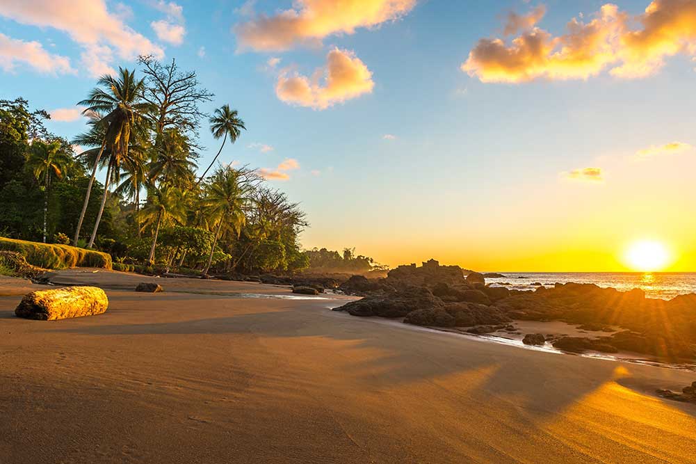 Selectour Carol' Voyages Nous vous ferons aimer le monde costa rica corcovado 1