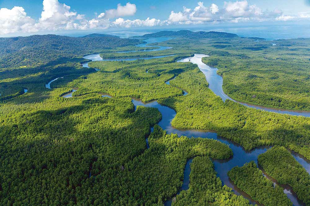 Selectour Carol' Voyages Nous vous ferons aimer le monde costa rica corcovado